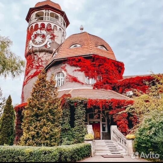 Экскурсионные туры в Калининград