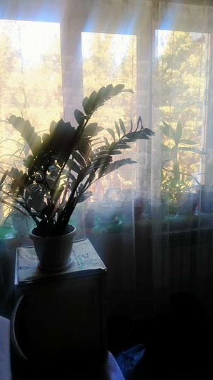 3-к. квартира, 47,8 м², 4/5 эт.