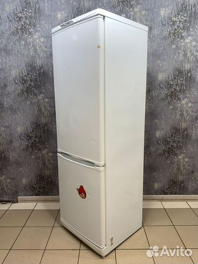 Холодильник. Стинол