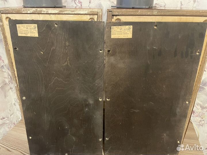 Колонки вега 25ас 109