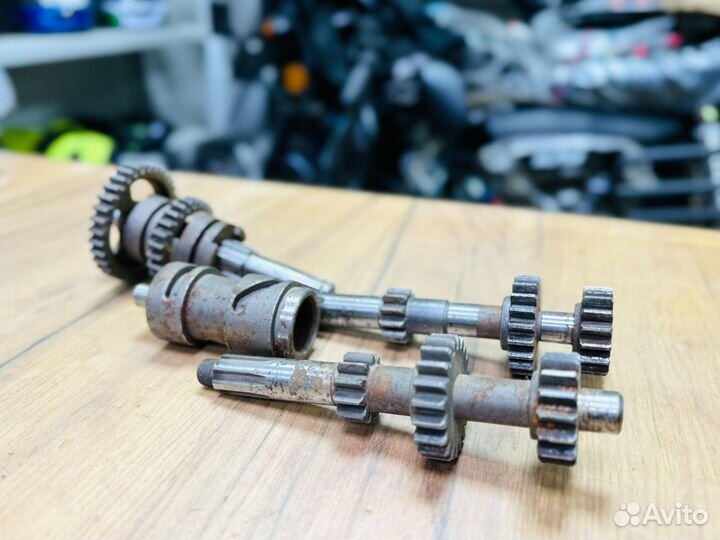 Кпп Зид Пилот