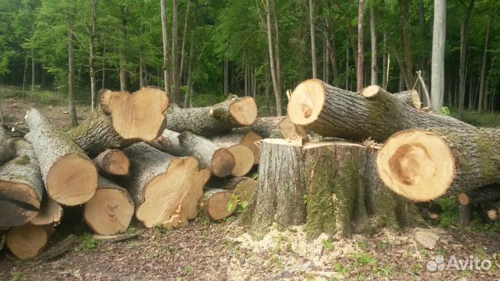 Столяр плотник