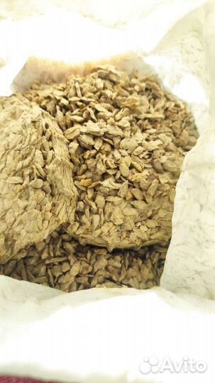 Масло подсолнечное сыродавленное холодного отжима