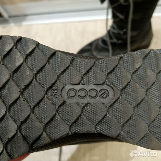 Зимние женские сапоги 38 ecco