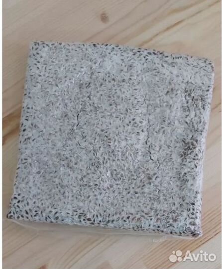 Мицелий вешенки