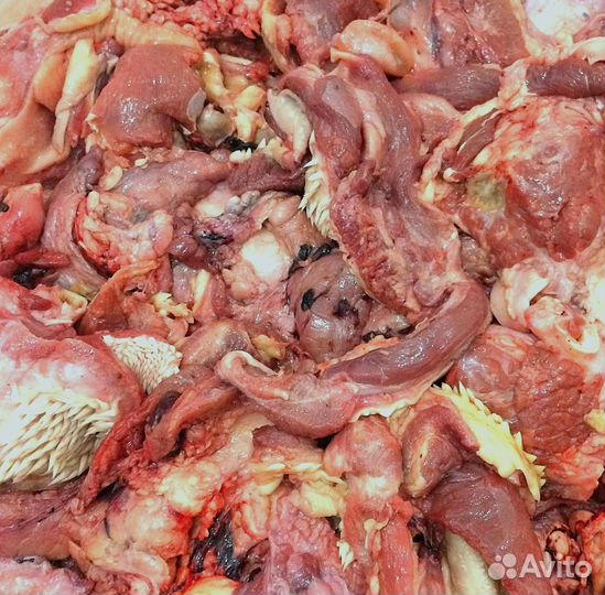 Обрезь гавяжья мясо корм для собак