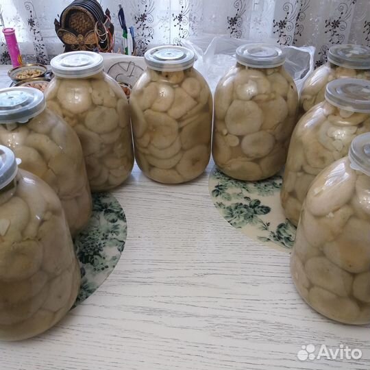 Грибы грузди соленые