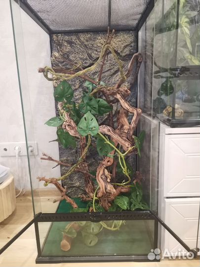 Террариум для рептилий бу