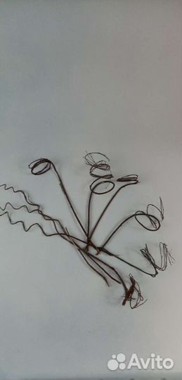 Сухоцвет, декор для фото