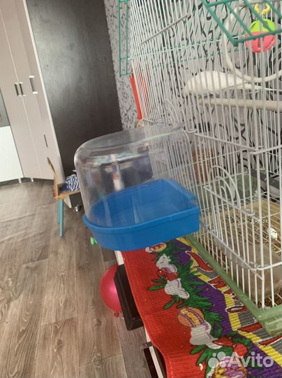 Купалка для птиц