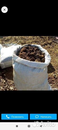 Каннский навоз