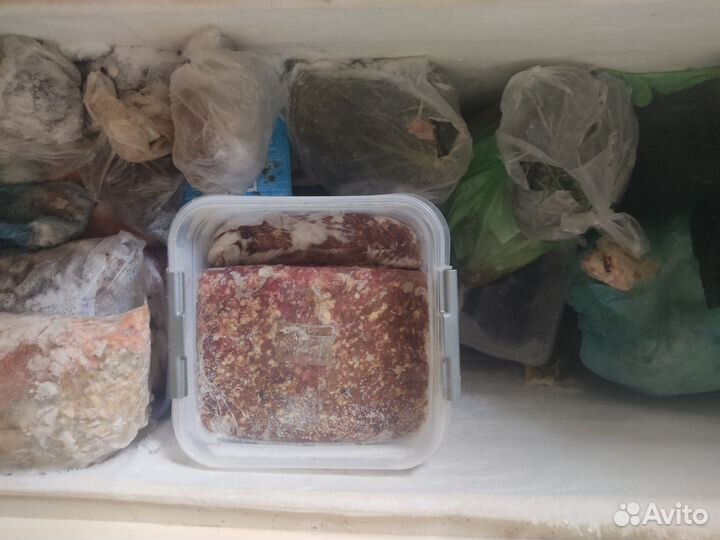 Субпродукты для собак