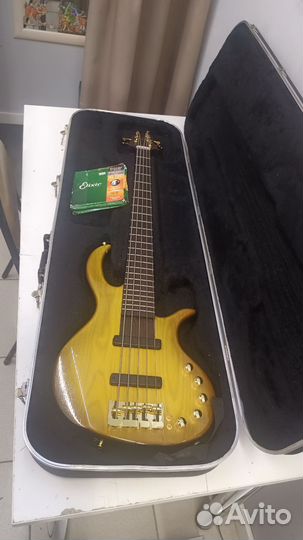 Elrick gold evolution 5