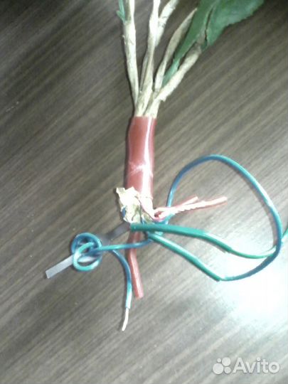 Розы и гирлянда елочная