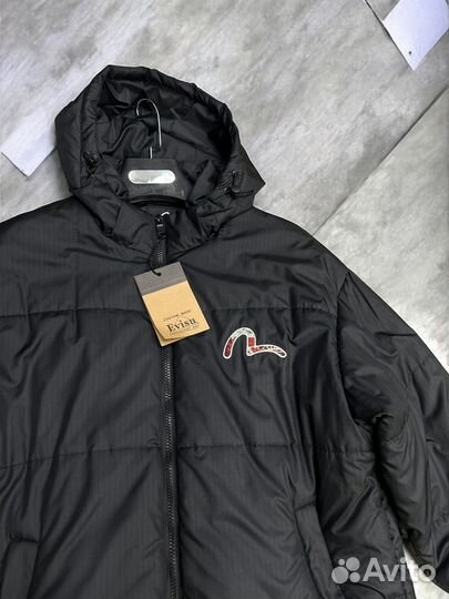Куртка весенняя evisu