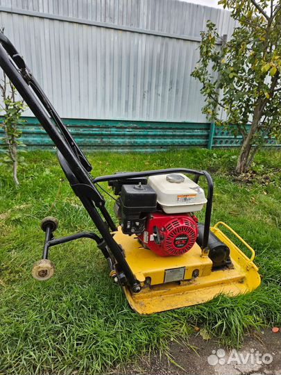 Аренда виброплиты