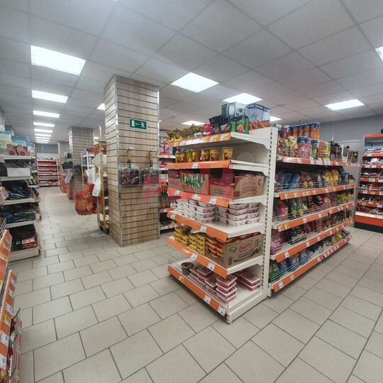 Монетка тмн