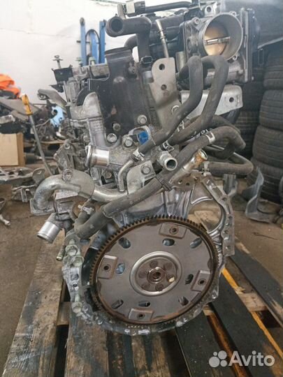 Двигатель Renault Koleos hyoc 2TR 2009