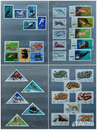 Альбом с марками