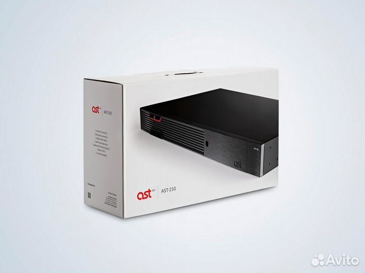 Караоке AST 250 комплект с микрофонами AST 922M