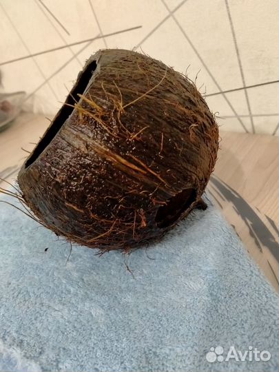 Кокос-укрытие для рыб, раков. Домики для хомячков