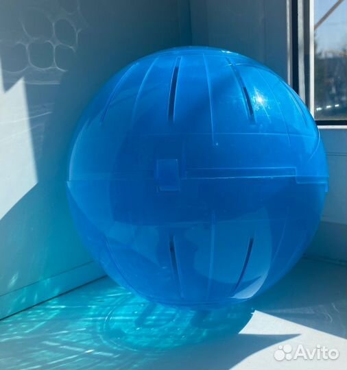 Прогулочный шар для хомяка