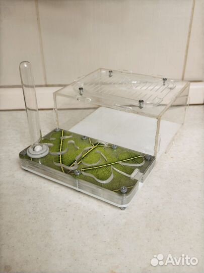 Муравьиная ферма