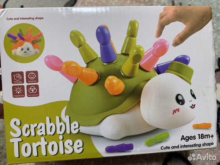 Сортер черепашка