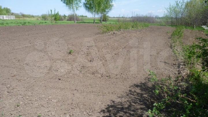 Участок 6 сот. (СНТ, ДНП)