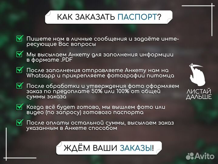 Паспорт для собаки или кошки