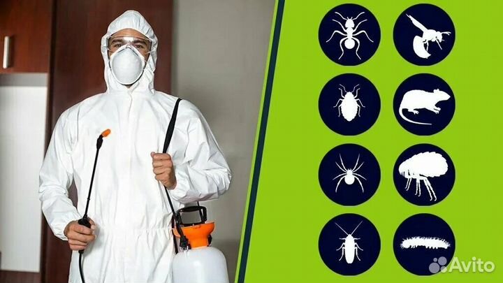 Дезинсекция, дератизации, дезинфекция помещений