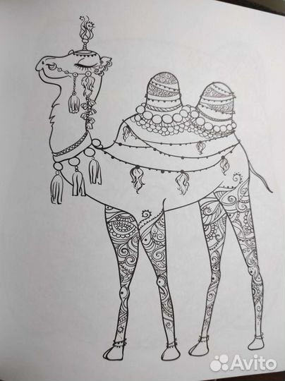 Раскраска Чудесный мир животных