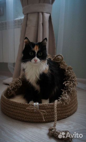 Лежанки и домики для кошек и маленьких собак