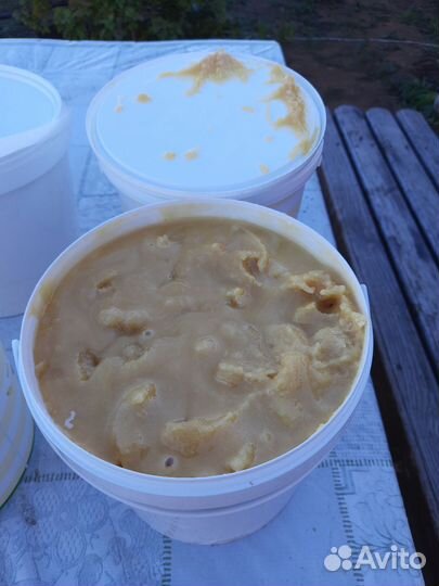 2023г Гречишный Мёд из Национального Парка