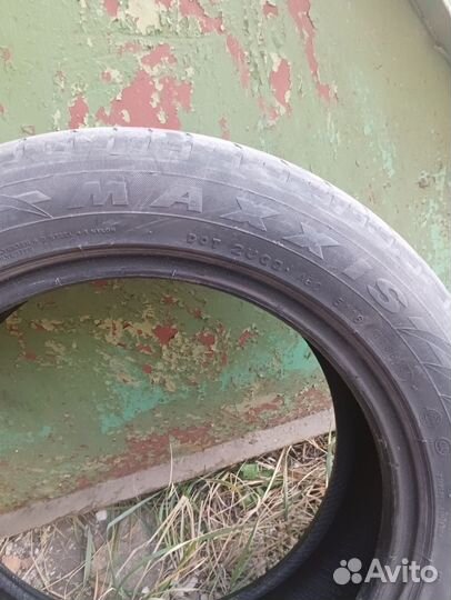 Maxxis Premitra HP5 205/55 R16