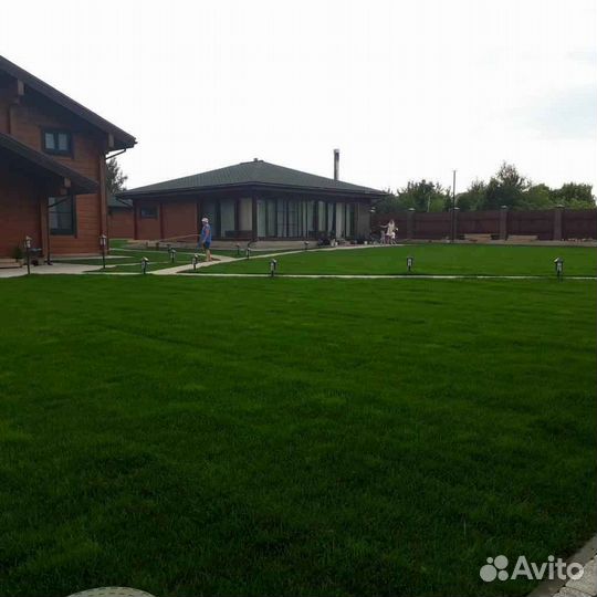 Рулонный газон напрямую от производителя