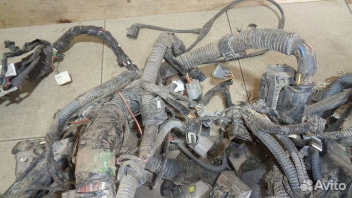 Проводка (коса) Toyota Corolla (E150)