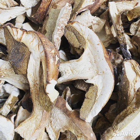 Грибы белые