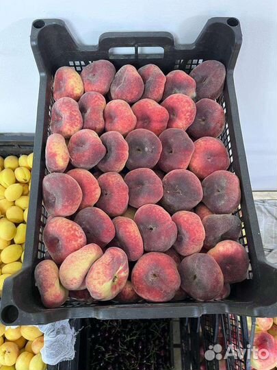 Дыня / овощи фрукты сухофрукты розница и опт