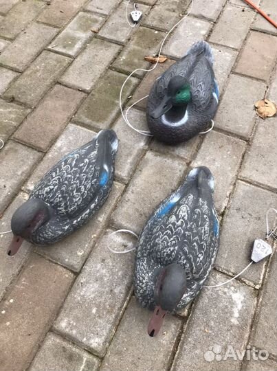 Чучела уток