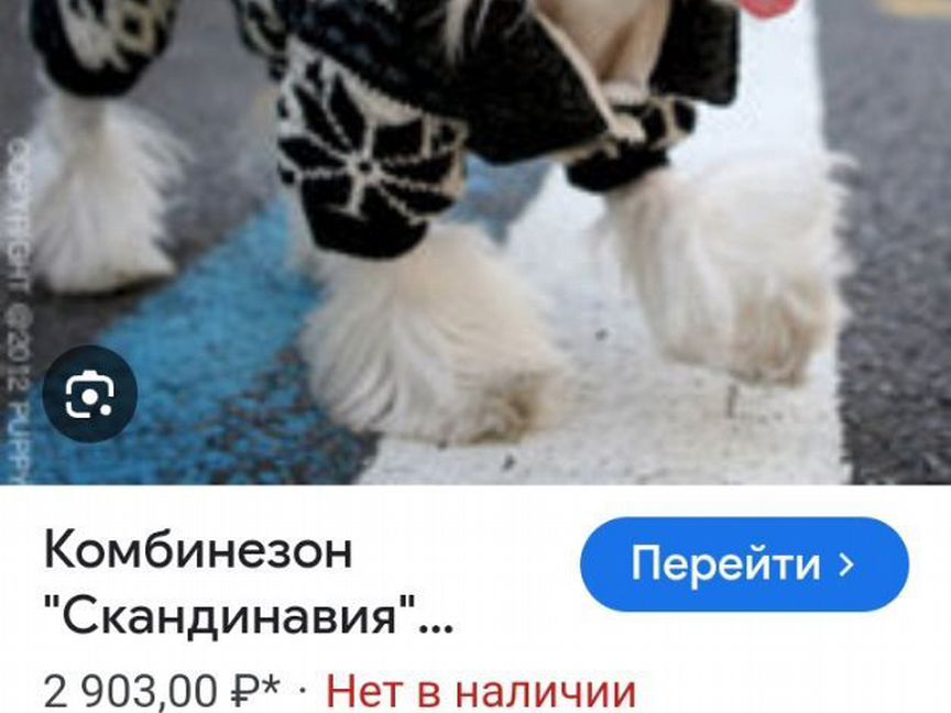 Комбинезон Puppy Angel