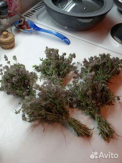 Чабрец (тимьян)