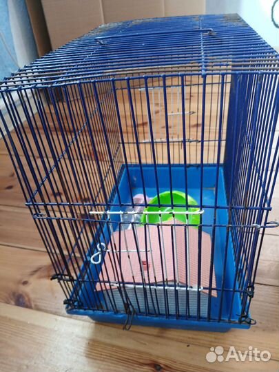 Клетка для хомяка бу