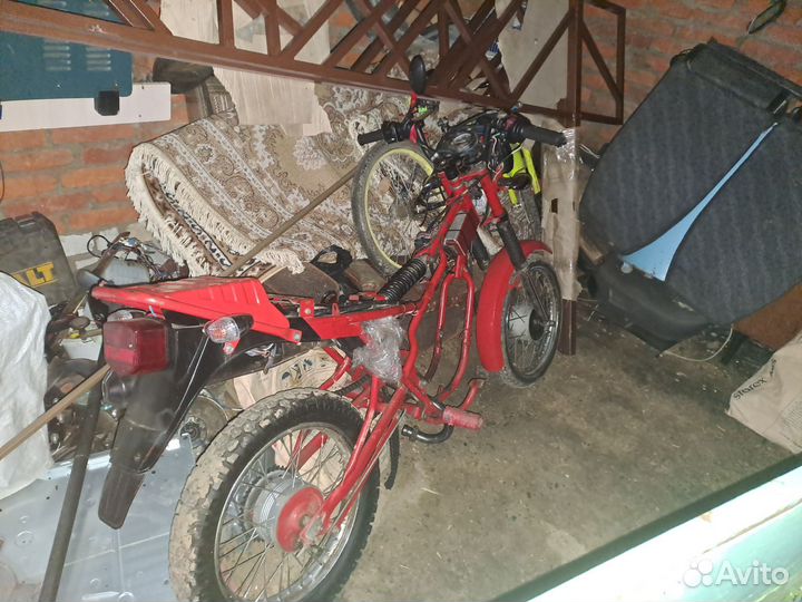 Зид 50 пилот