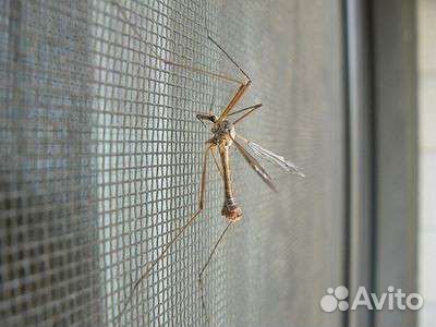 Москитные сетки на окна