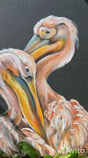 Картина розовый пеликан