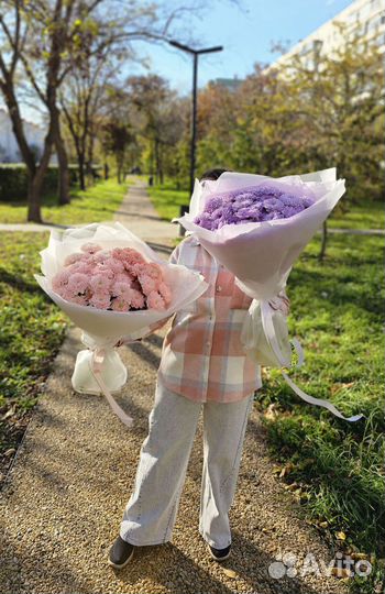 Хризантема букет живые цветы