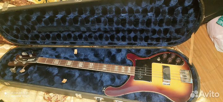 Jolana D-Bass