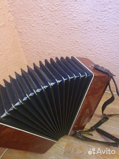 Баян Кировский 3