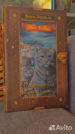 Коты воители